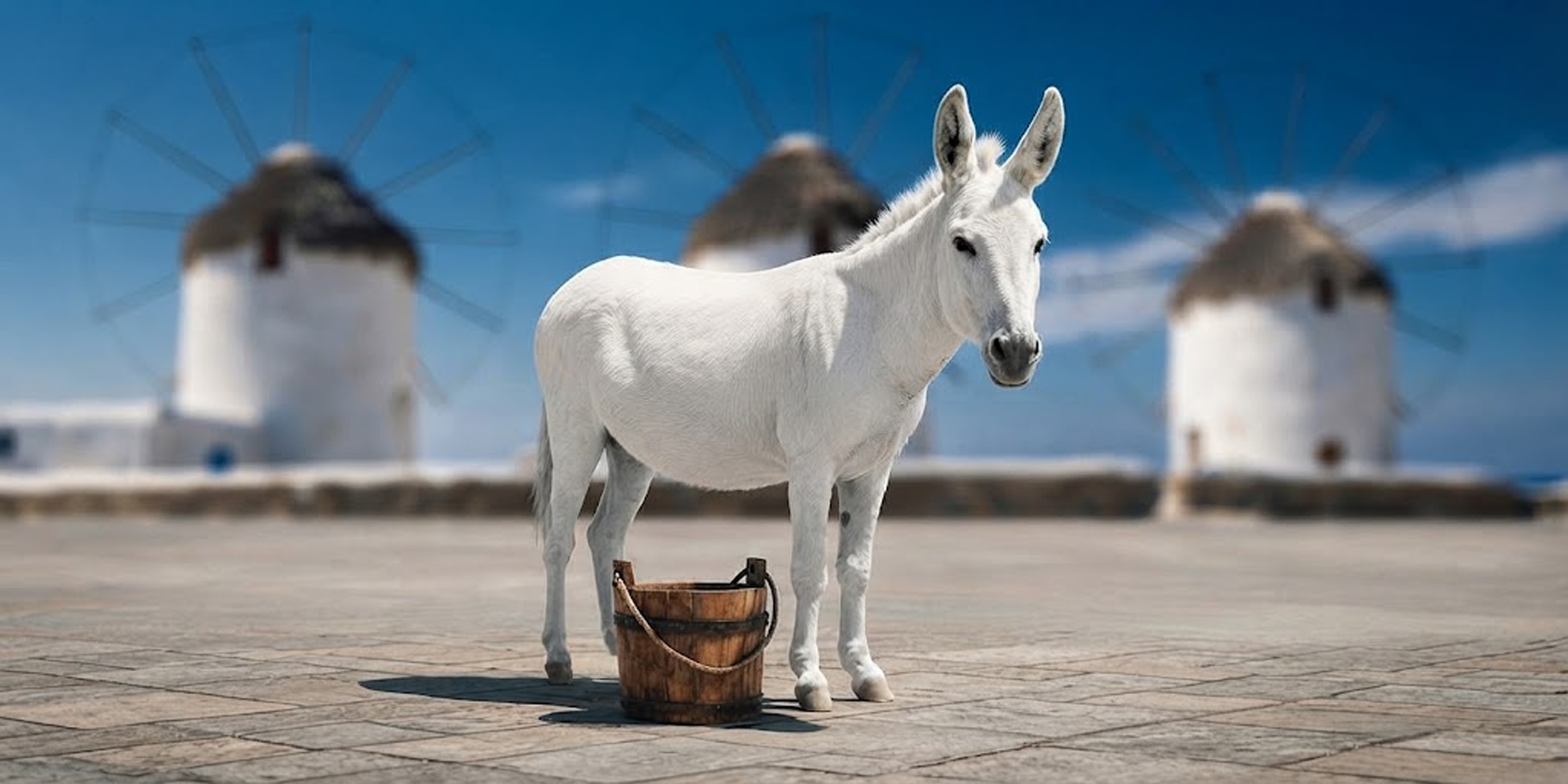 Donkey Milk skincare